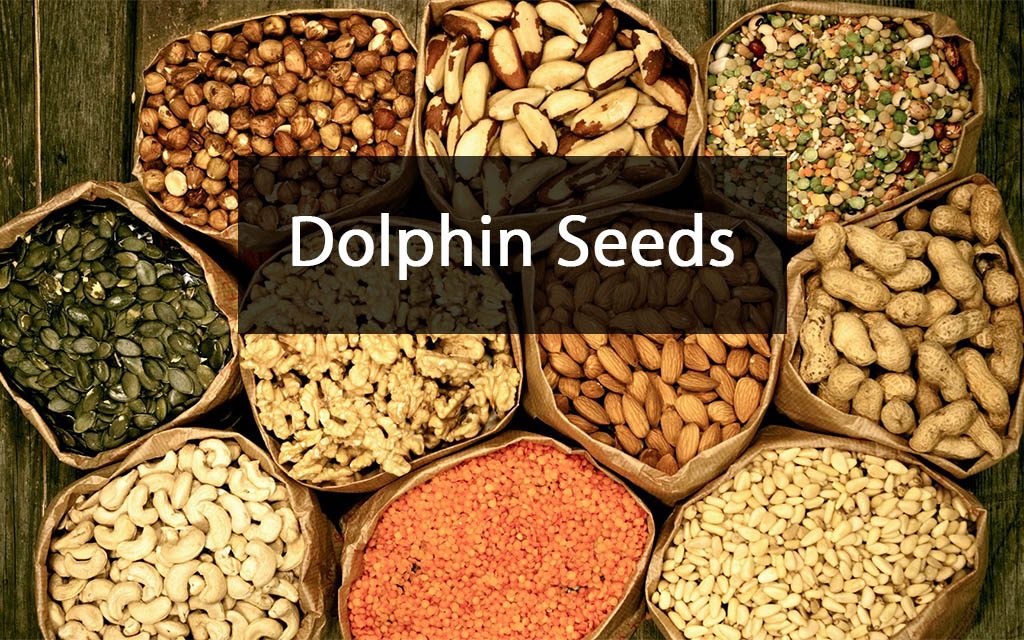 Web Designer Philippines | Web Design, Web Apps, PWA, Mobile Apps